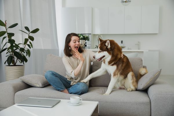 Top astuces pour bien s'occuper de vos animaux de compagnie